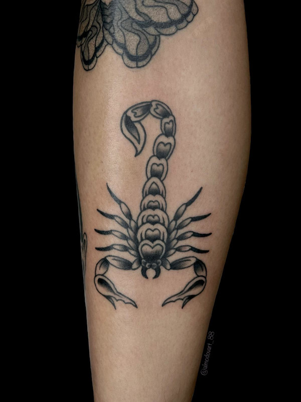 Black and grey fine line stylized tattoo of a scorpion by tatoo artist Lita Almodovar of Sacred Mandala Studio in Durham, NC.